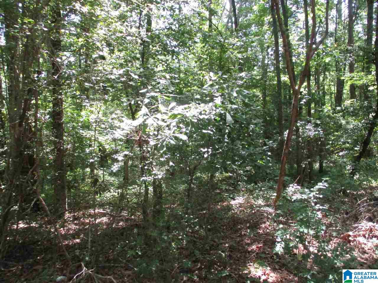 7817 Depot Street Ragland, AL 35131 - Photo 15 of 22