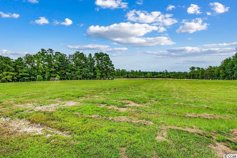 3021 Cooper-Collins Road Aynor, SC 29511 - Photo 26 of 28 Gallery Image 26
