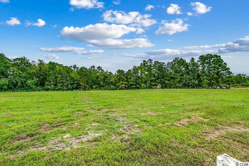 3021 Cooper-Collins Road Aynor, SC 29511 - Photo 27 of 28 Gallery Image 27