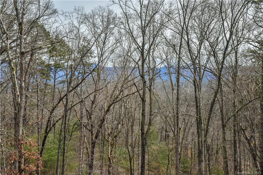 78 Alexander Road, Unit 1 Alexander, NC 28701 - Photo 6 of 20 Gallery Image 6