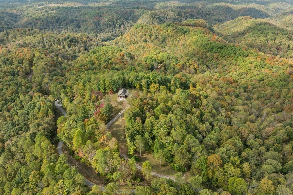 604 Hickory Hilham, TN 38568 - Photo 31 of 38 a view of a yard