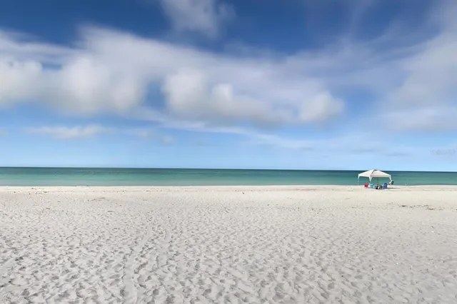 a view of room and yard