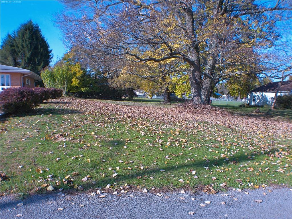 105 Single Street Carmichaels, PA 15320 - Photo 13 of 43 a backyard of a house with lots of green space