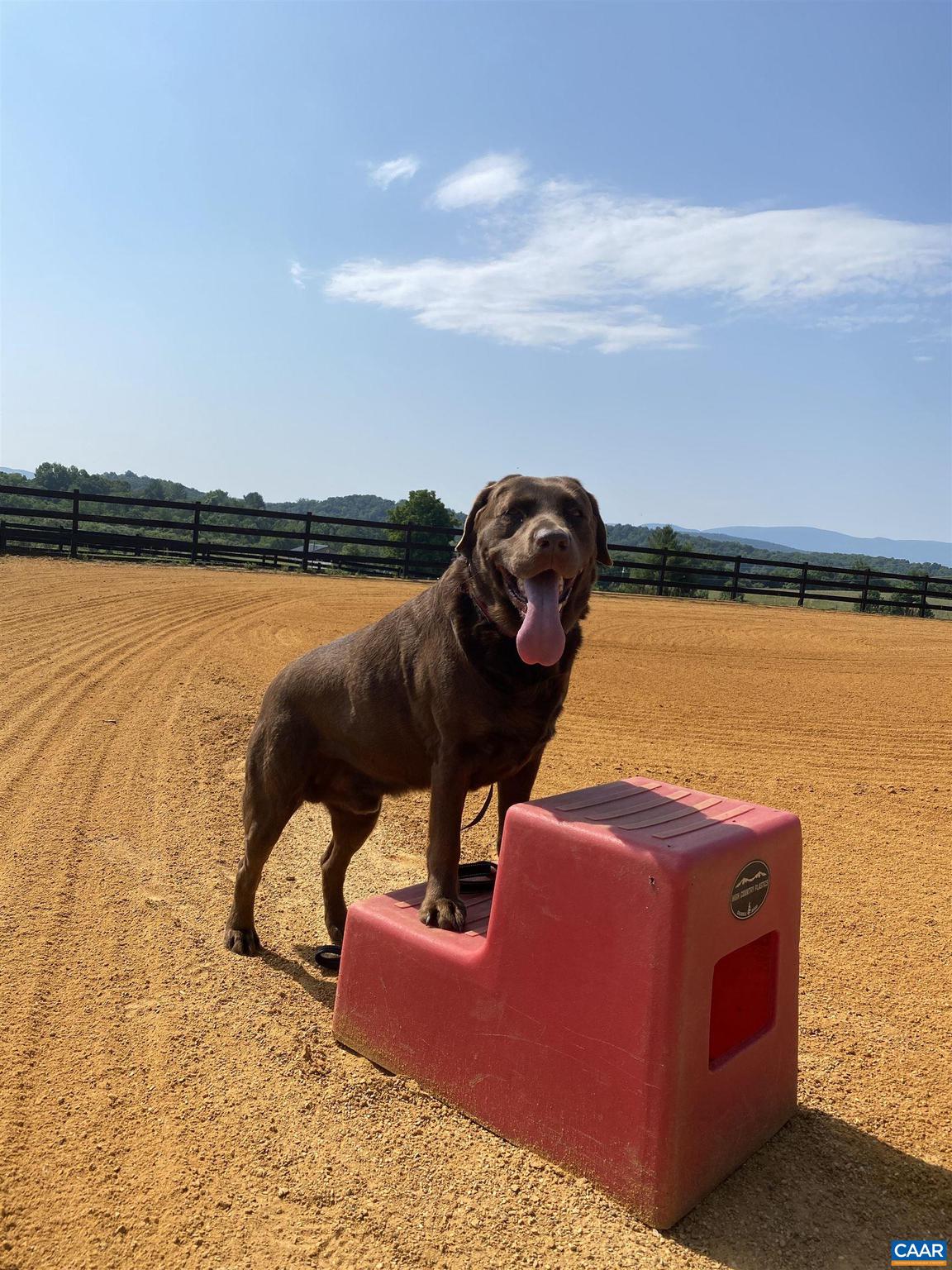 181 Equus Loop Natural Bridge, VA 24578 - Photo 11 of 75