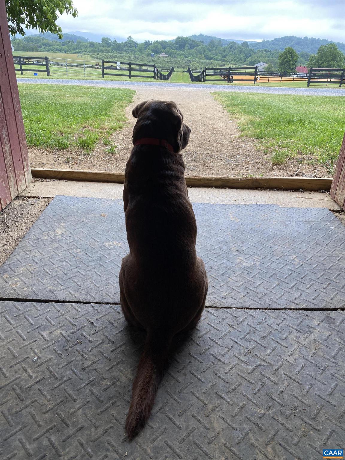 181 Equus Loop Natural Bridge, VA 24578 - Photo 32 of 75