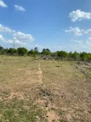 $1,450 | 143 Spring Hollow Trail, Smithville, TX 78957