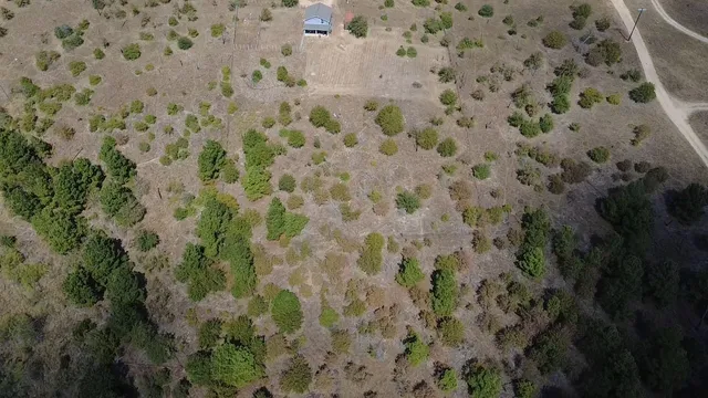 $1,450 | 143 Spring Hollow Trail, Smithville, TX 78957