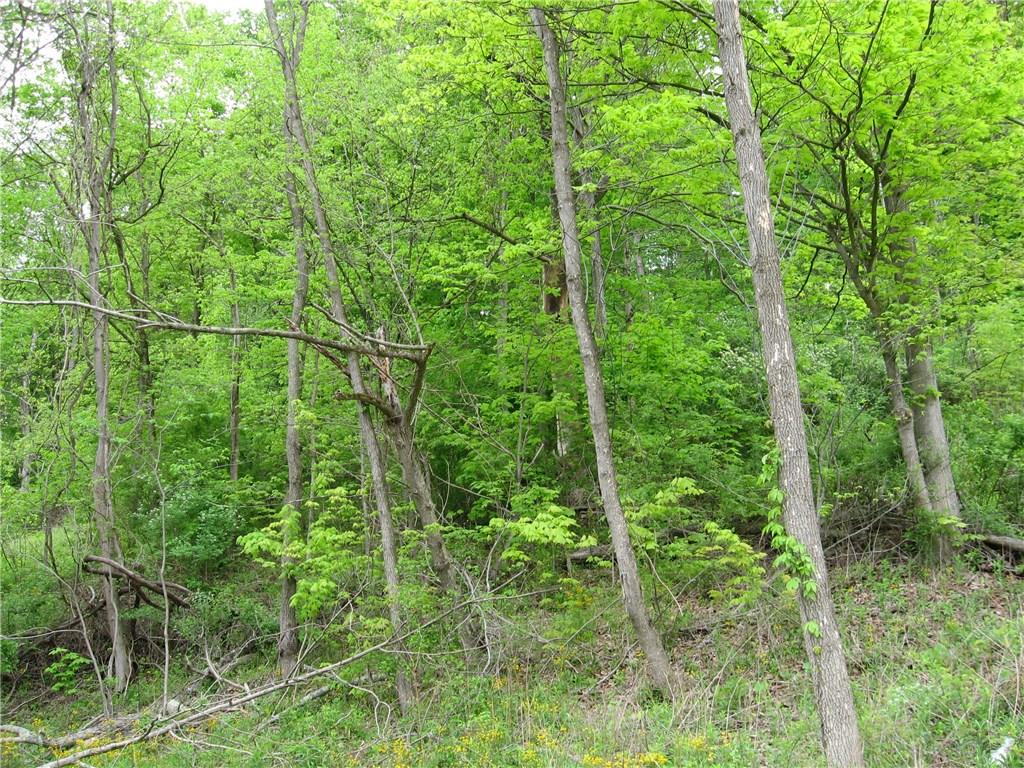 643 Metz Road Tarentum, PA 15084 - Photo 13 of 14 Gallery Image 13