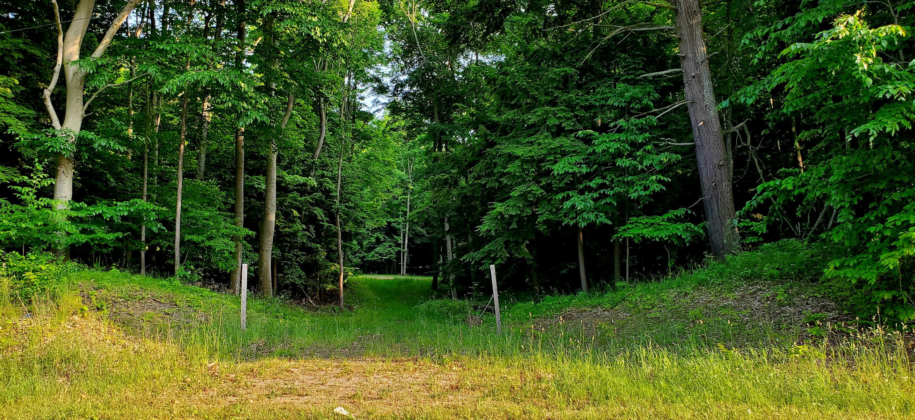 5-acres West Deer Road Mears, MI 49436 - Photo 1 of 17 Driveway