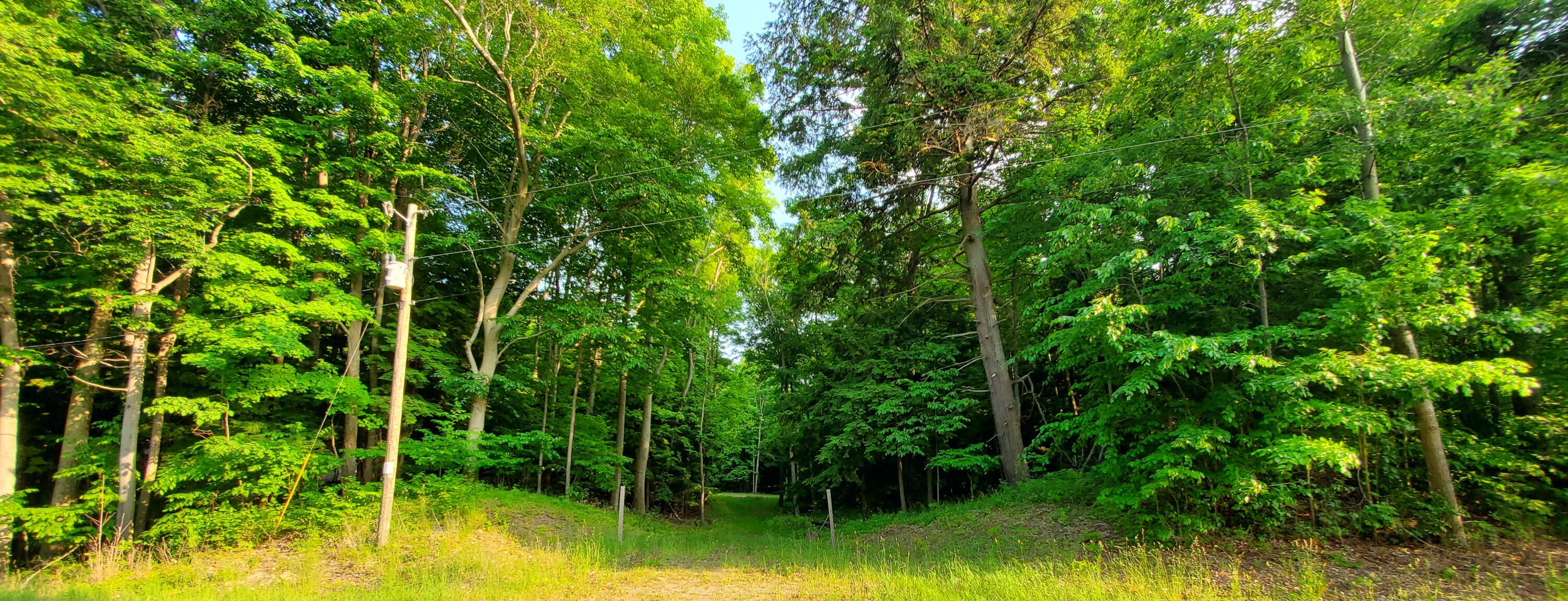 5-acres West Deer Road Mears, MI 49436 - Photo 2 of 17 From the road