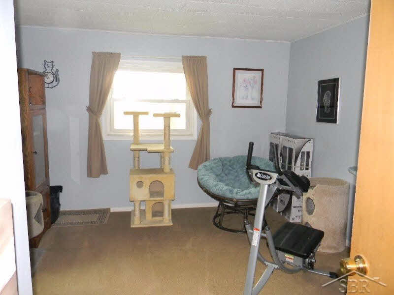 1333 East Prevo Road Linwood, MI 48634 - Photo 19 of 30