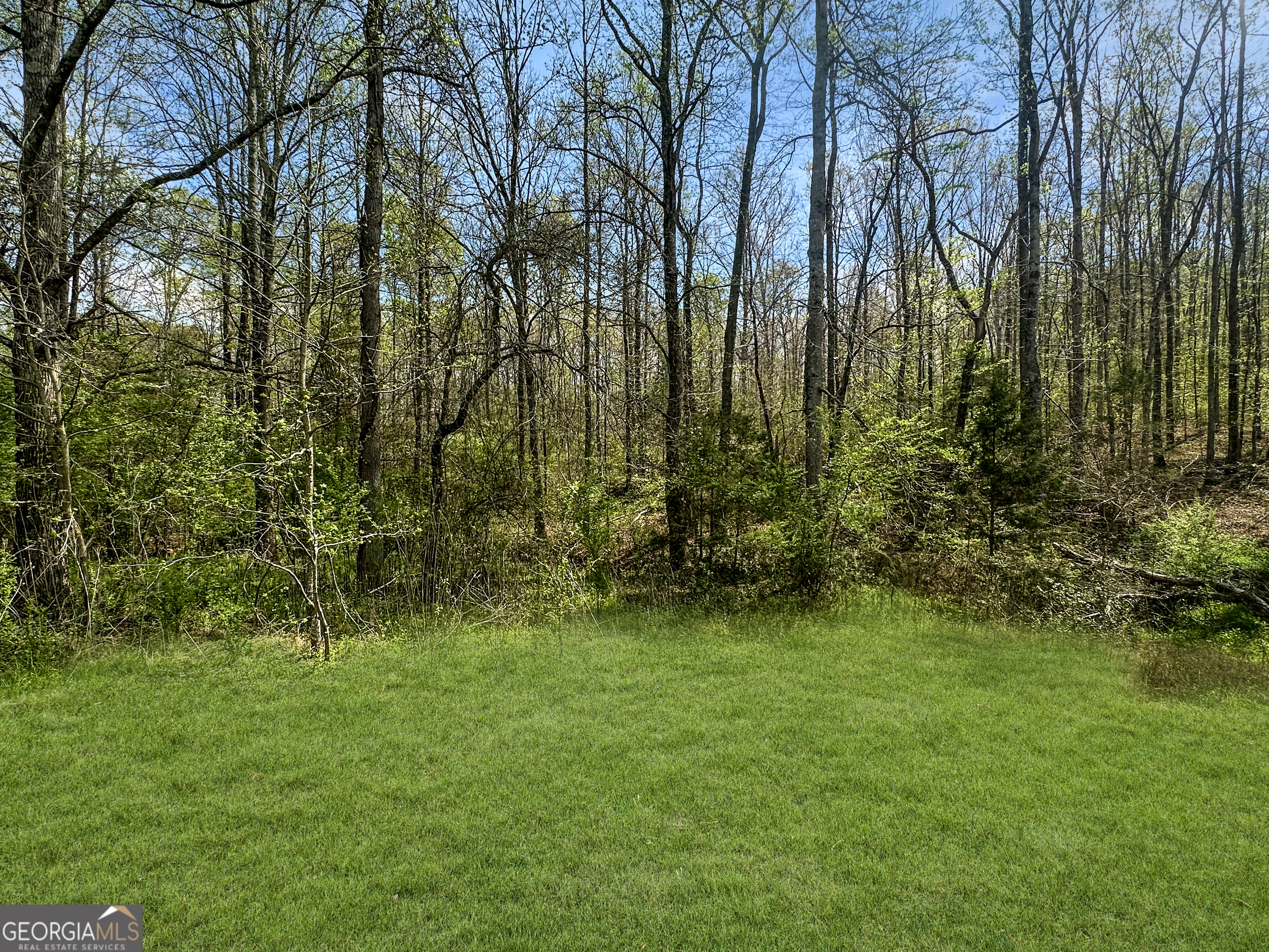 960 Goose Neck Road, Unit LOT 4 Eastanollee, GA 30538 - Photo 2 of 12 a big yard with lots of green space and trees