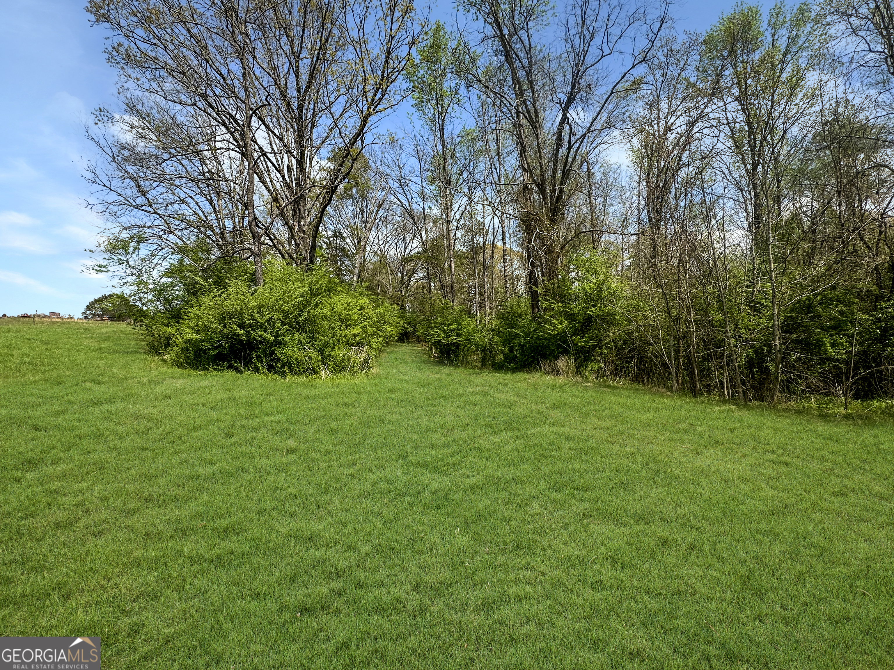 960 Goose Neck Road, Unit LOT 4 Eastanollee, GA 30538 - Photo 3 of 12 a view of a garden