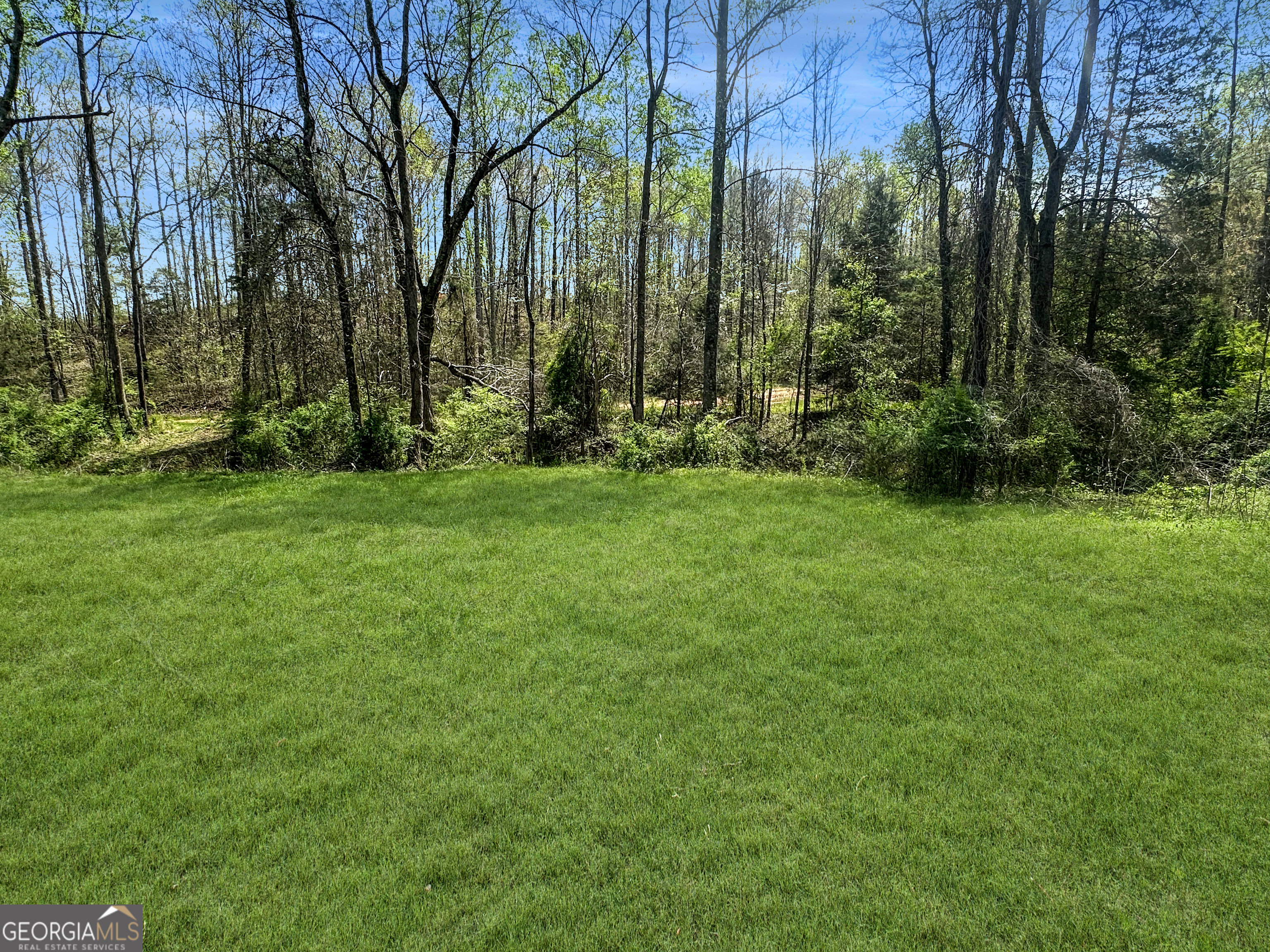960 Goose Neck Road, Unit LOT 4 Eastanollee, GA 30538 - Photo 4 of 12 a view of a backyard with palm trees