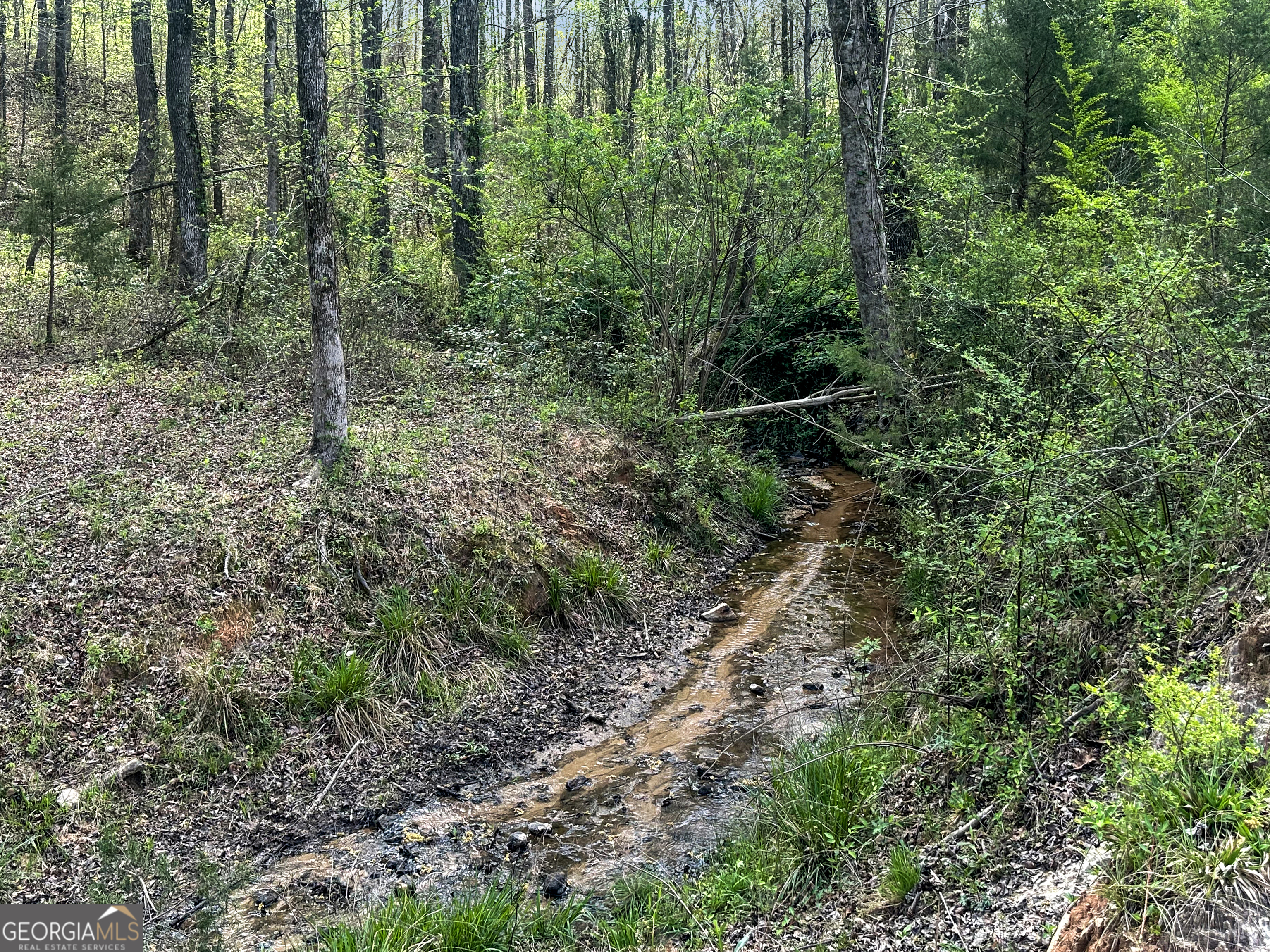 960 Goose Neck Road, Unit LOT 4 Eastanollee, GA 30538 - Photo 5 of 12 a view of a lush green forest