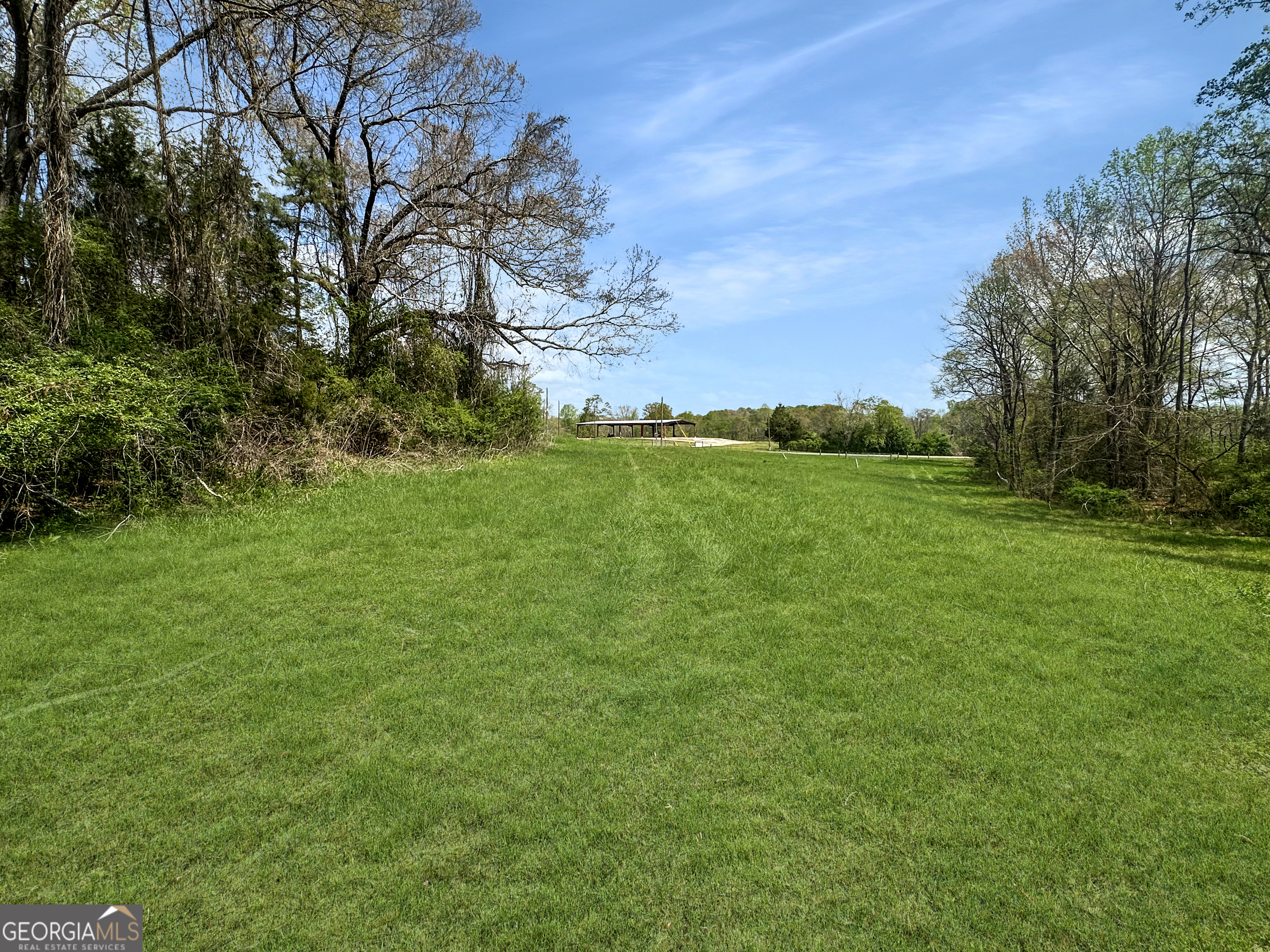 960 Goose Neck Road, Unit LOT 4 Eastanollee, GA 30538 - Photo 6 of 12 a view of a big yard with a large tree