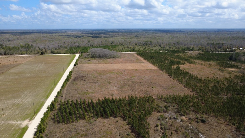 40 Davis Peacock Road Wewahitchka, FL 32449 - Photo 5 of 22
