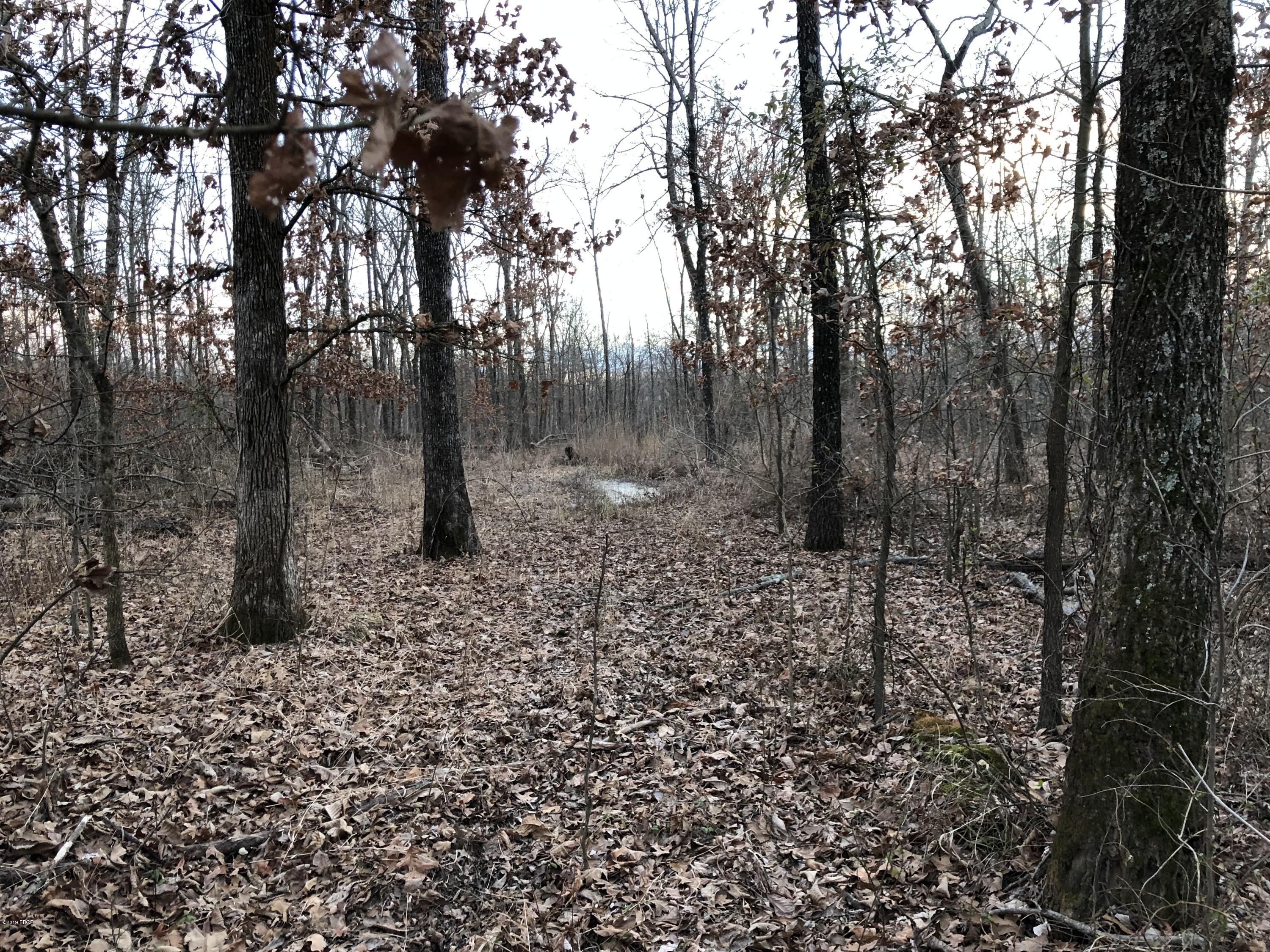 0 Stiritz Road Herrin, IL 62948 - Photo 11 of 11