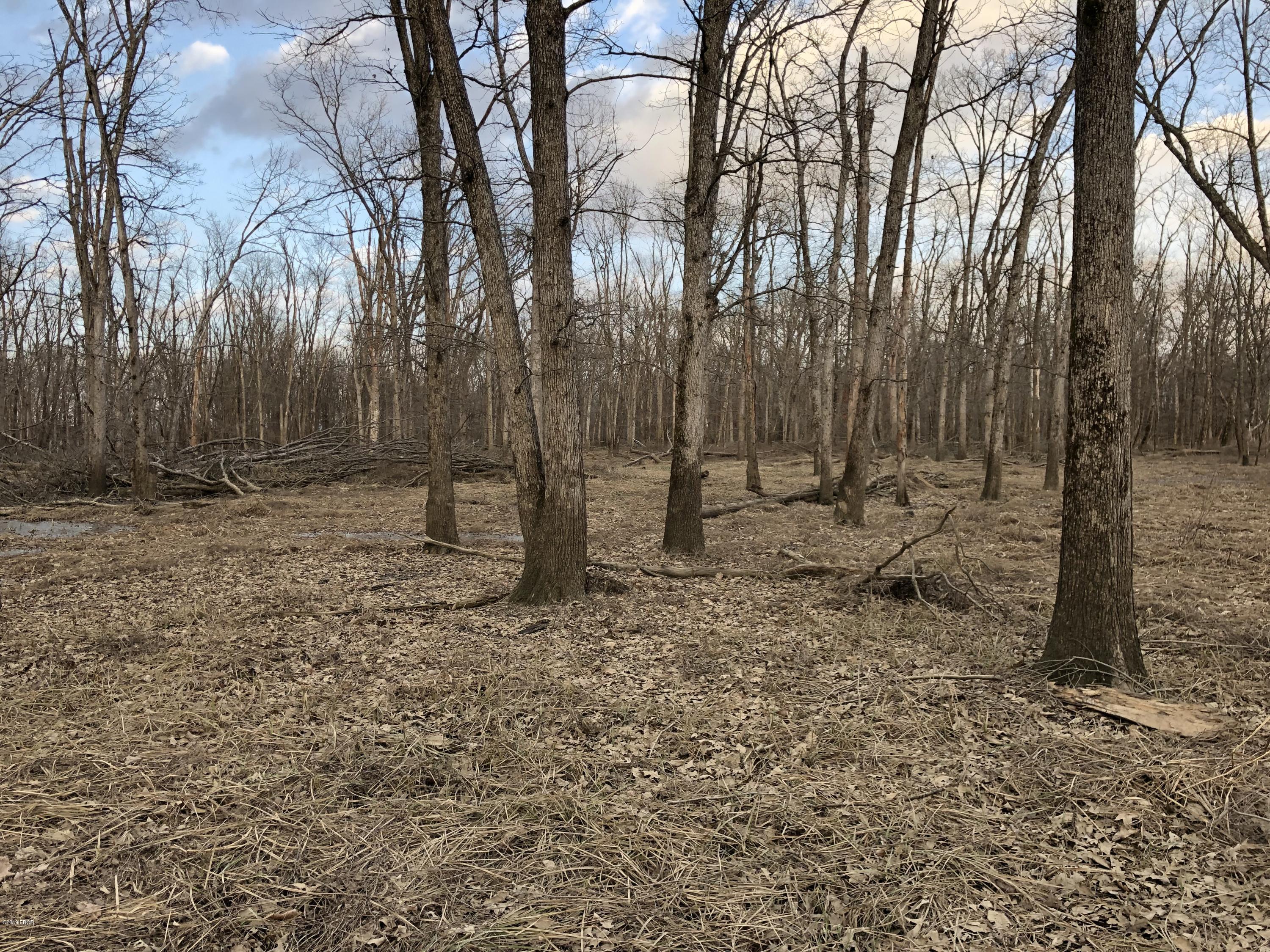 0 Stiritz Road Herrin, IL 62948 - Photo 6 of 11