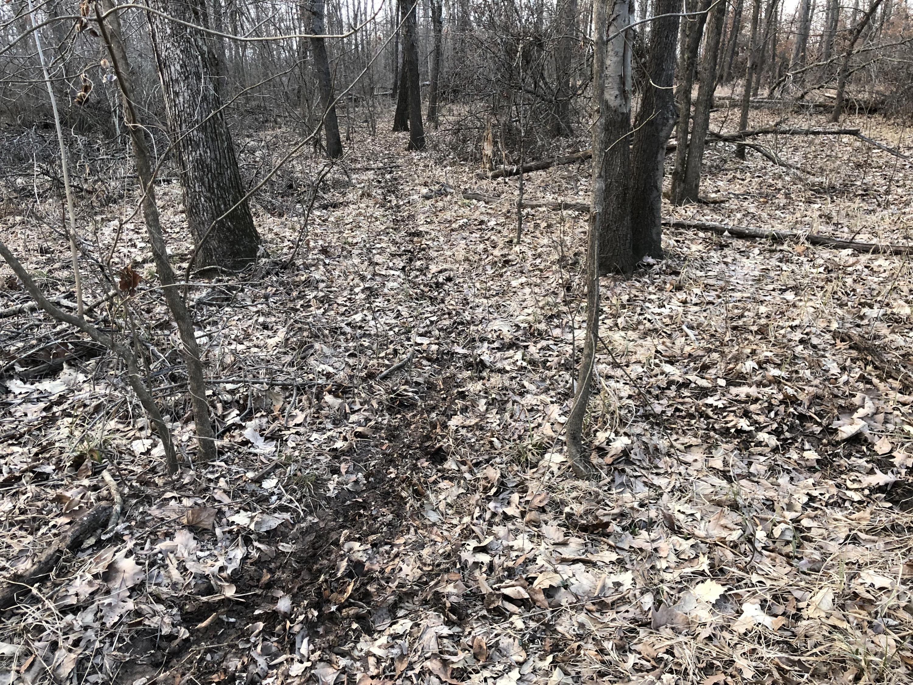 0 Stiritz Road Herrin, IL 62948 - Photo 8 of 11