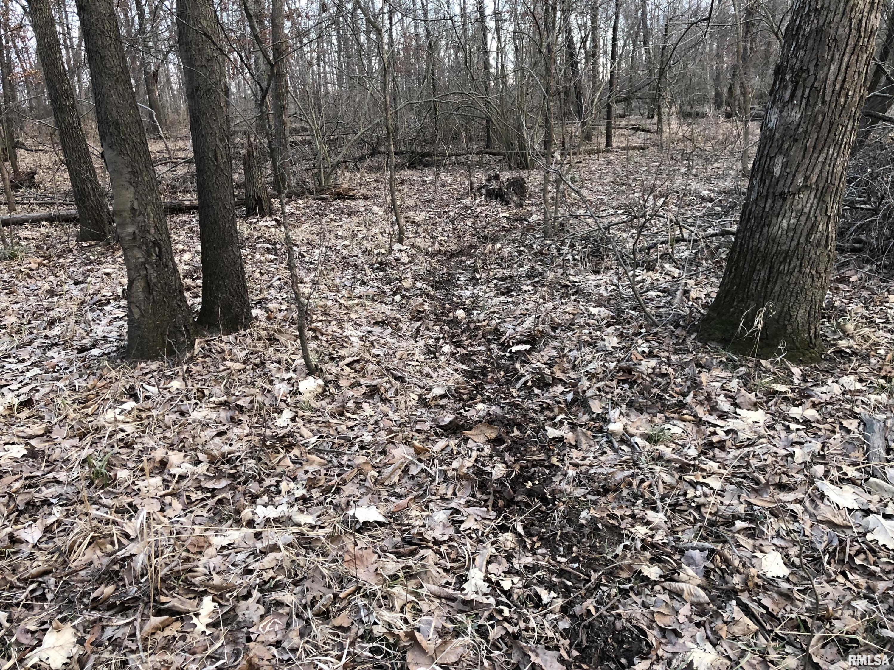 0 Stiritz Road Herrin, IL 62948 - Photo 9 of 11