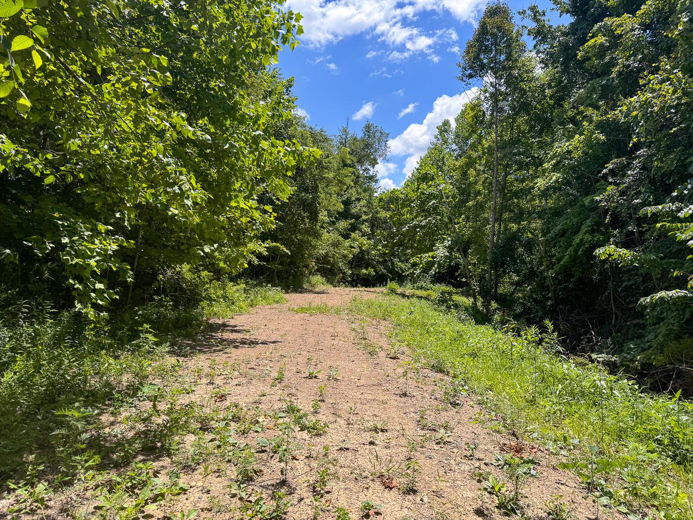 4313 Flint Ridge Road Northeast, Unit INT RIDGE TRACT 18 ACRE) Crooksville, OH 43731 - Photo 31 of 53 CT-31