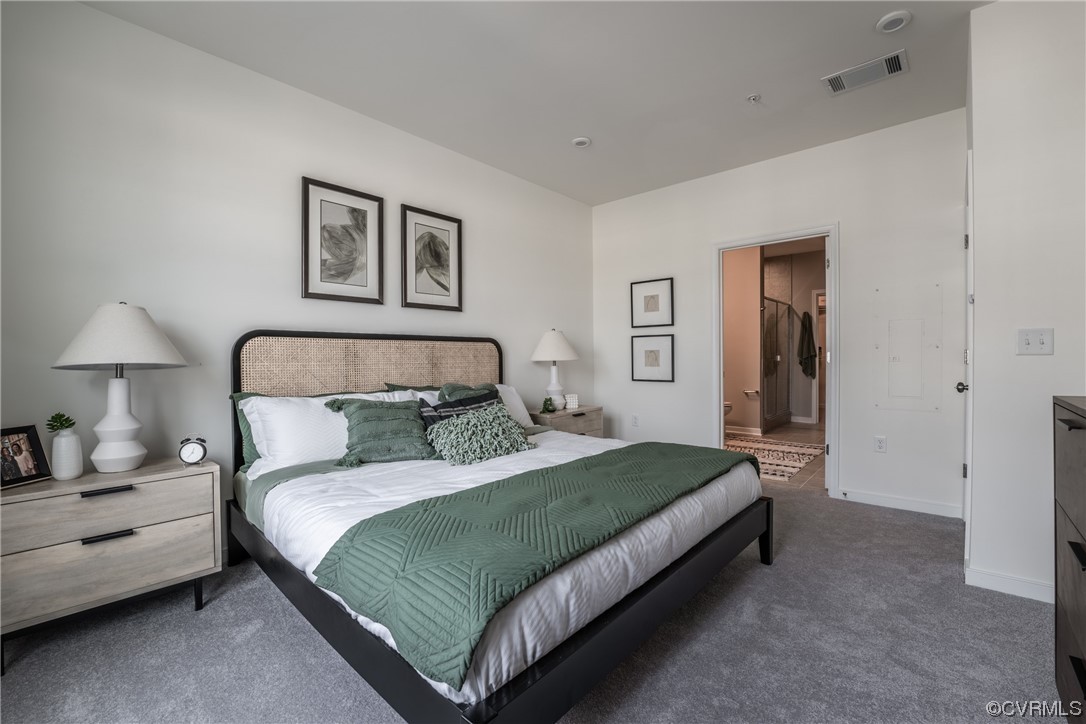 4101 Next Level Trace Midlothian, VA 23112 - Photo 17 of 40