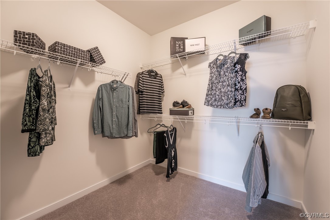 4101 Next Level Trace Midlothian, VA 23112 - Photo 21 of 40