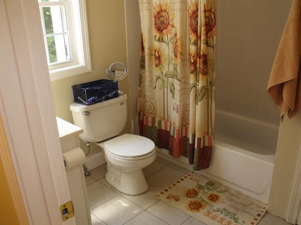 33 Mt Shaw Road Ossipee, NH 03864 - Photo 19 of 20 Gallery Image 19
