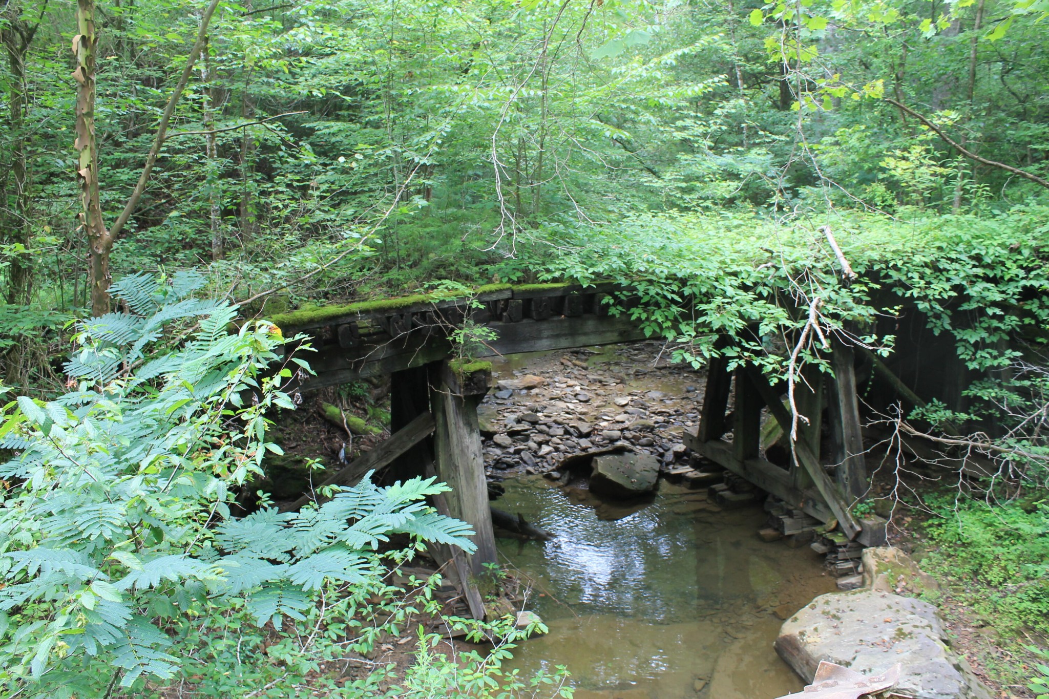 2 Straight Fork Road Huntsville, TN 37756 - Photo 3 of 13