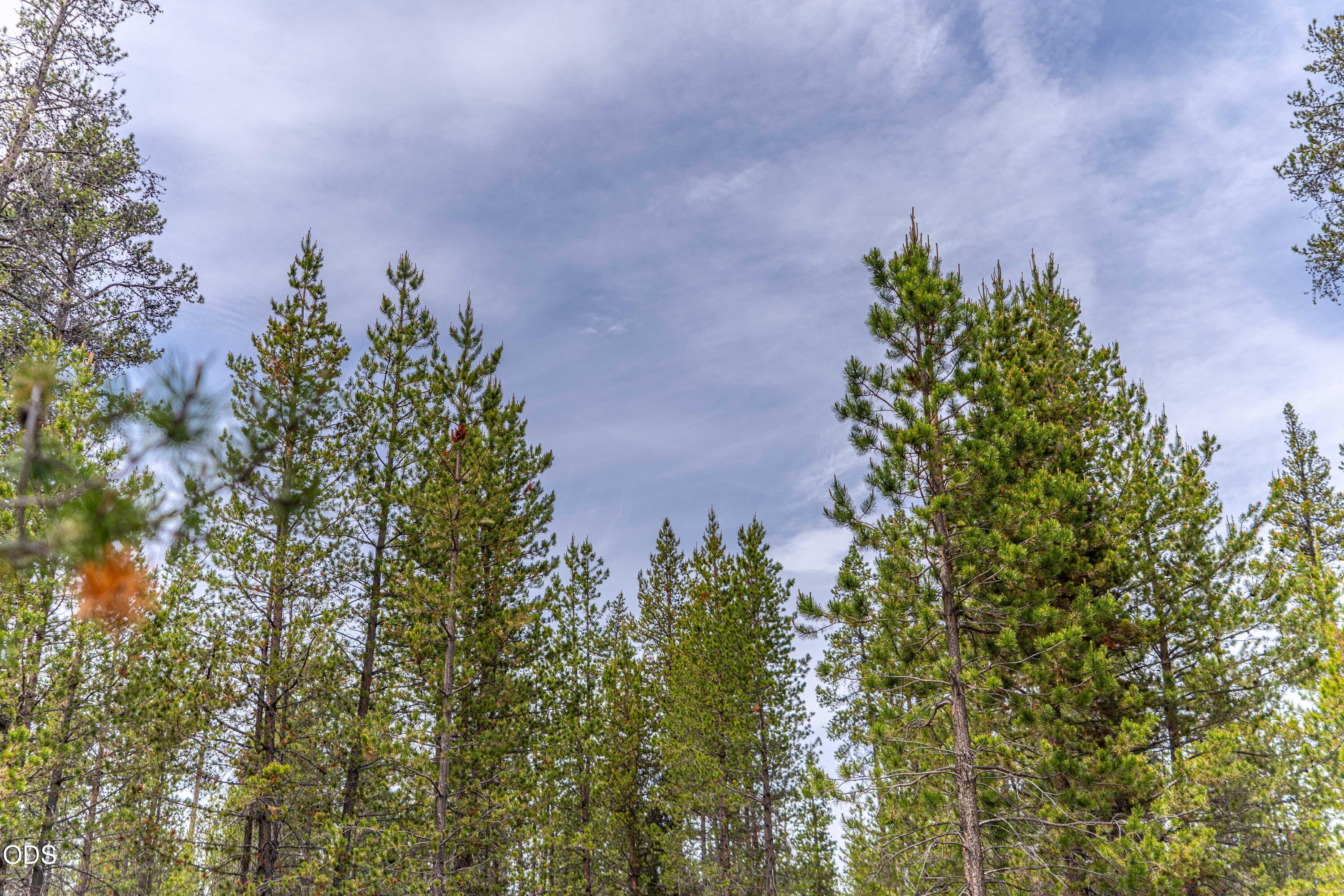 52495 Old Stage Road La Pine, OR 97739 - Photo 19 of 20