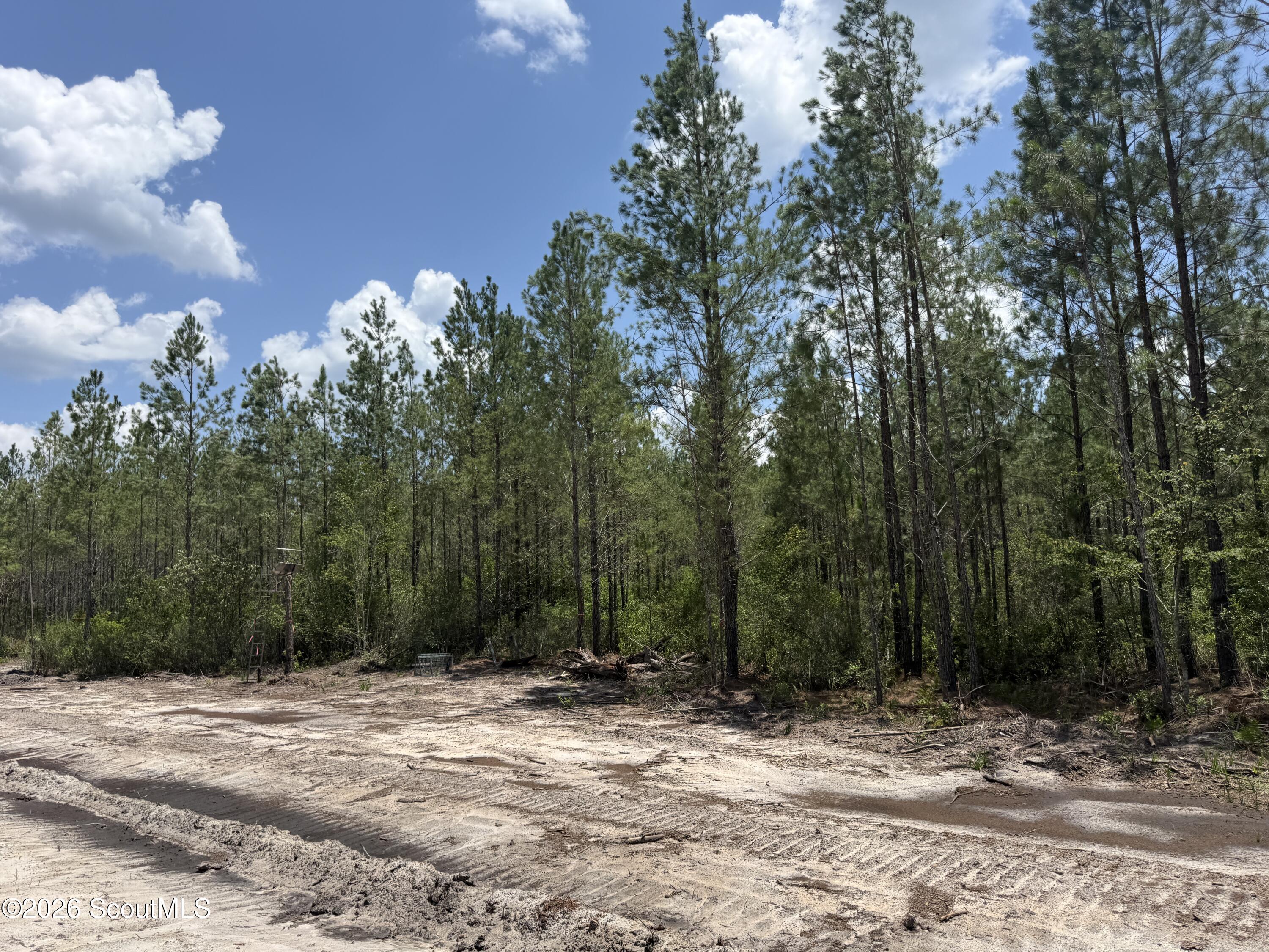 Lot 10 Corbitt Road, Unit LOT 10 Manor, GA 31550 - Photo 5 of 8 IMG_8064