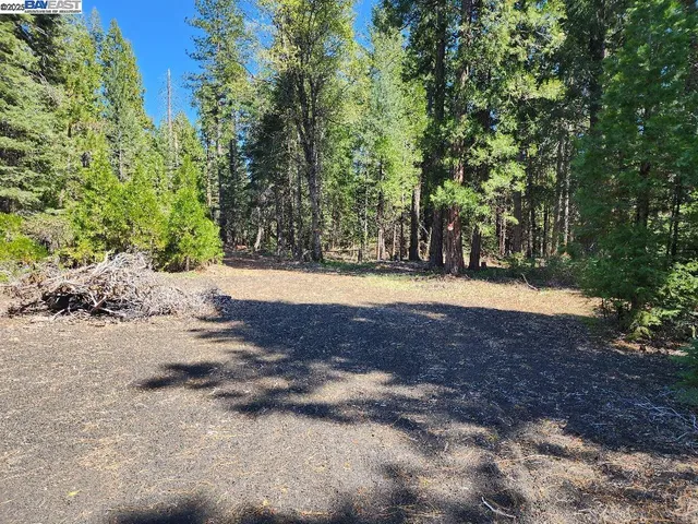 a view of swimming pool with trees in the background