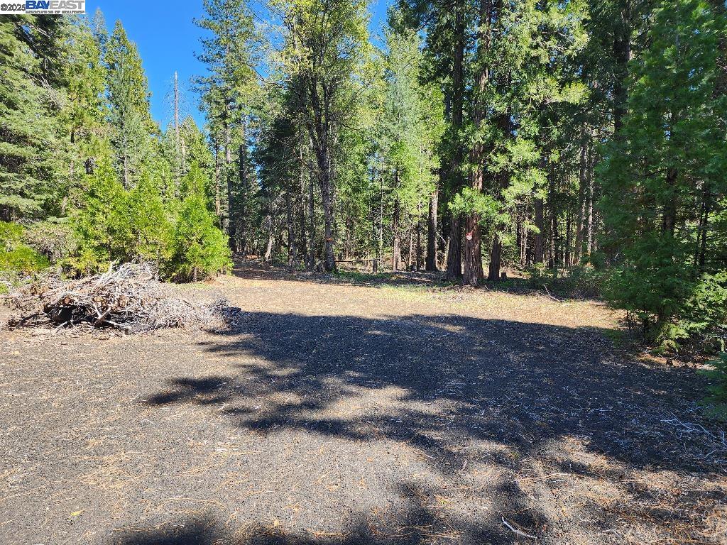 a view of swimming pool with trees in the background