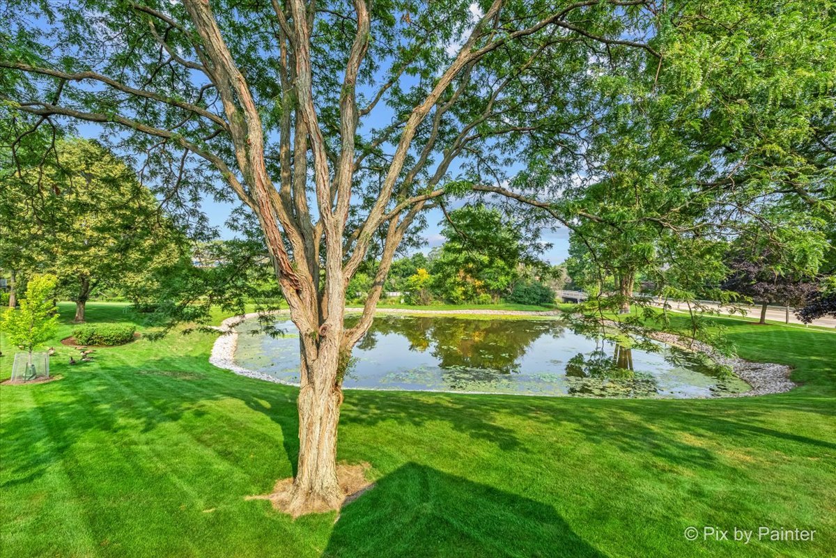 -n021 Windermere Road, Unit 405 Winfield, IL 60190 - Photo 26 of 50 a view of a lake