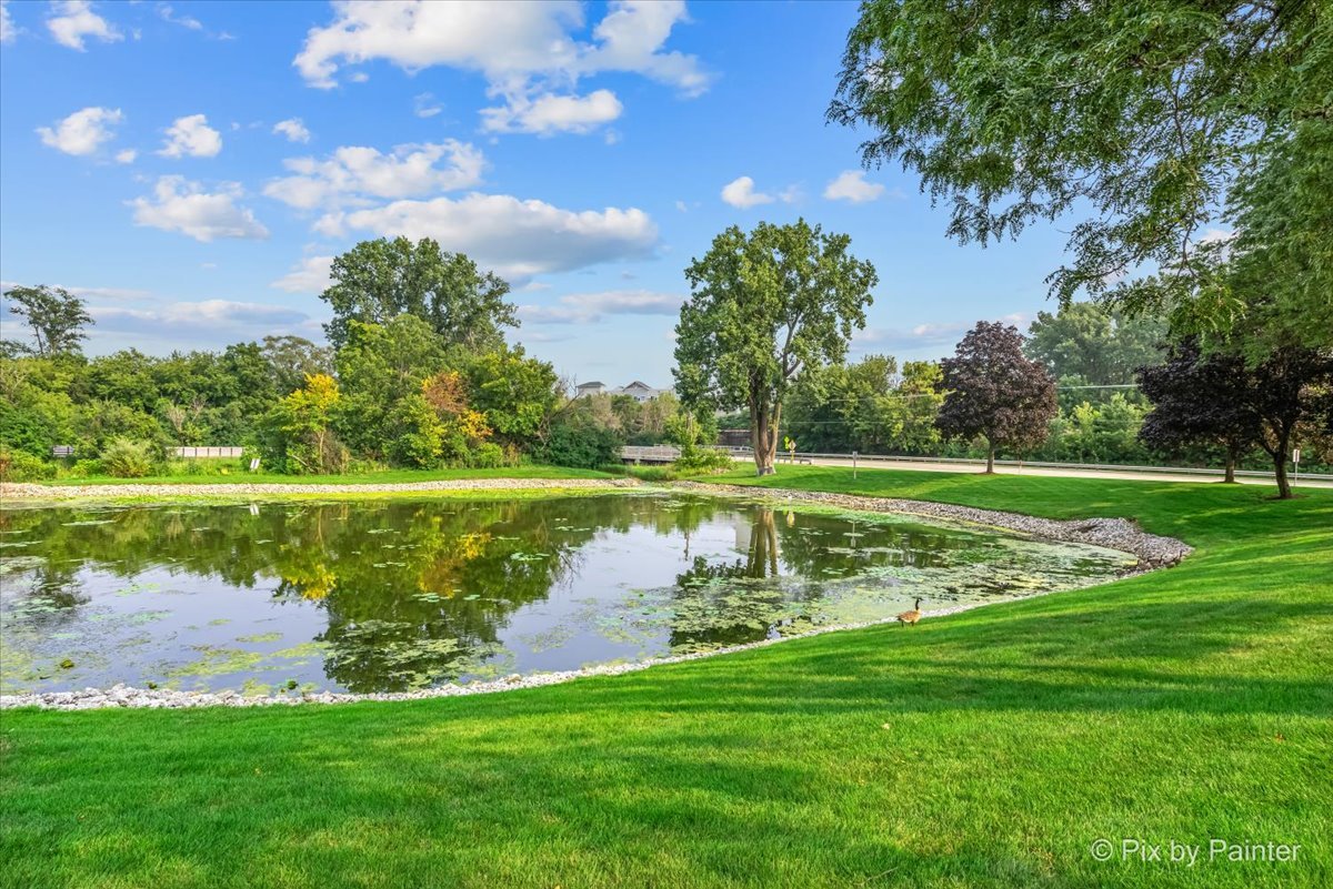 -n021 Windermere Road, Unit 405 Winfield, IL 60190 - Photo 38 of 50 a view of a lake with a big yard
