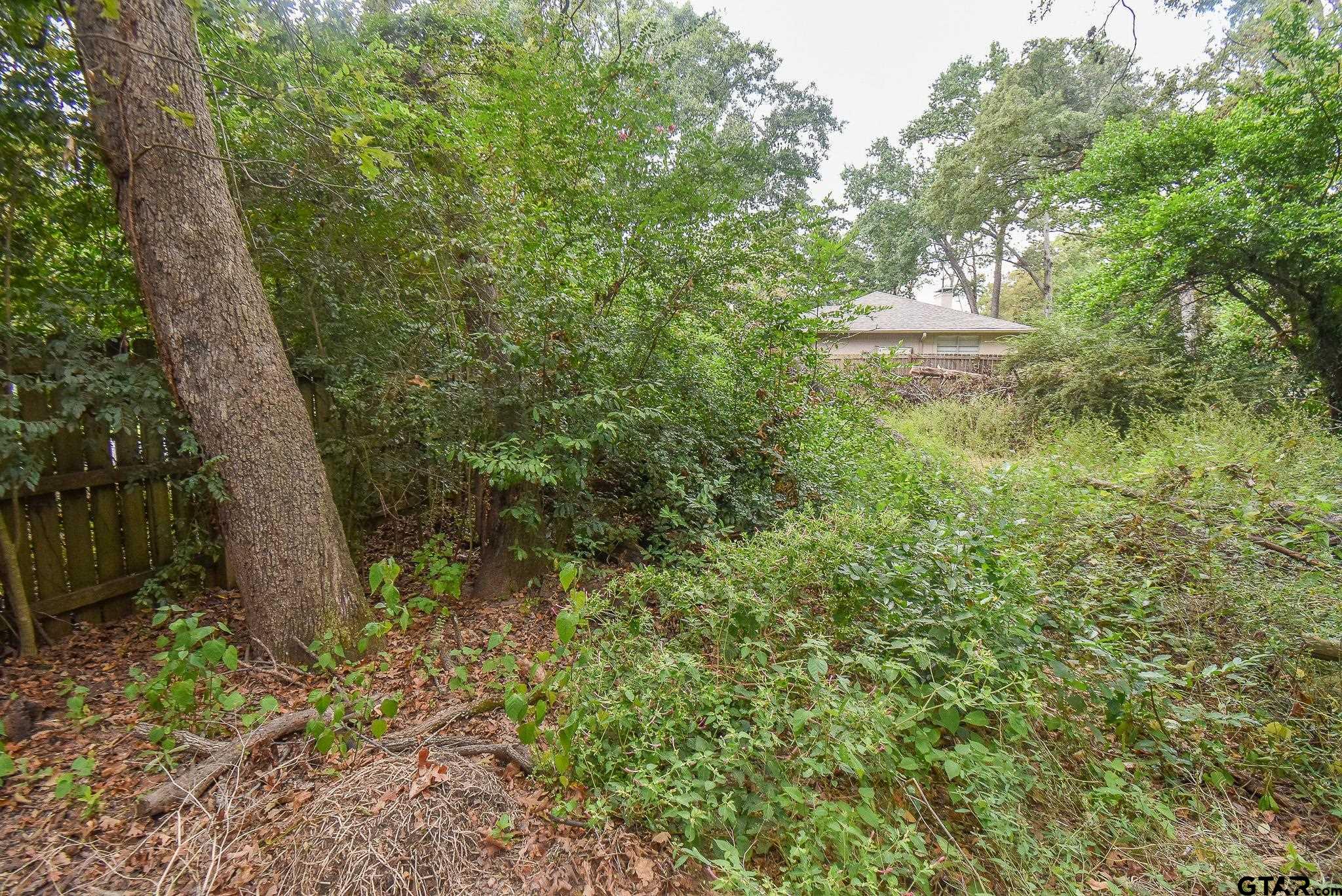 Tbd Pollard Drive Tyler, TX 75701 - Photo 3 of 3