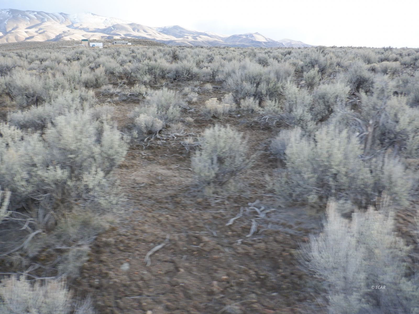 33-3 7th Street Elko, NV 89801 - Photo 12 of 15