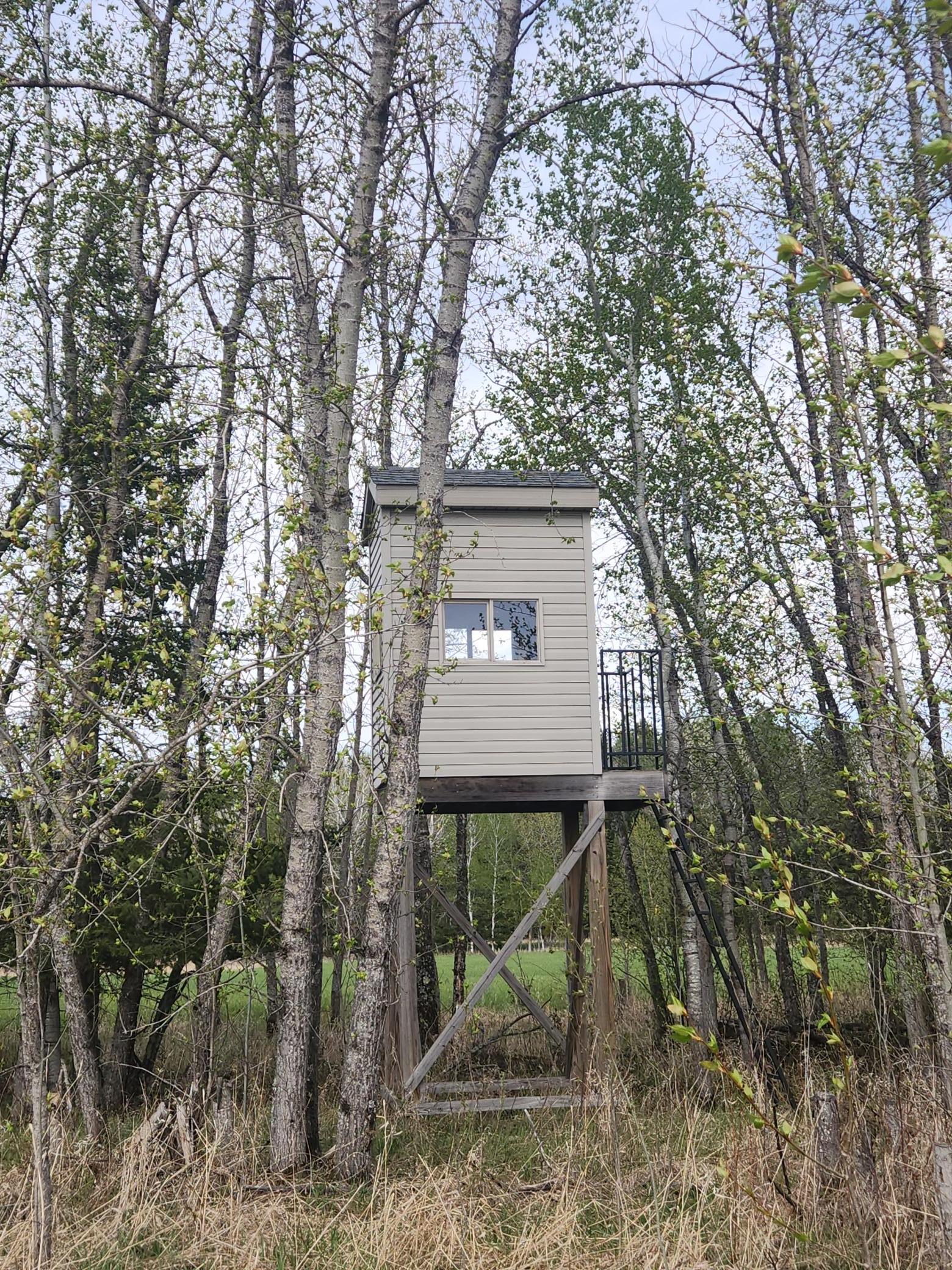 9453 Alango Road Angora, MN 55703 - Photo 6 of 8