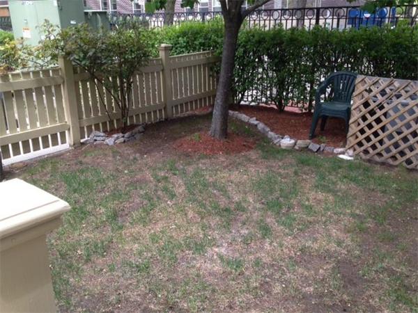 985 Tremont Street, Unit 985 Boston, MA 02120 - Photo 12 of 12 a view of a yard with a trees