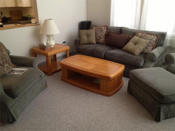 985 Tremont Street, Unit 985 Boston, MA 02120 - Photo 3 of 12 a living room with furniture and a couch