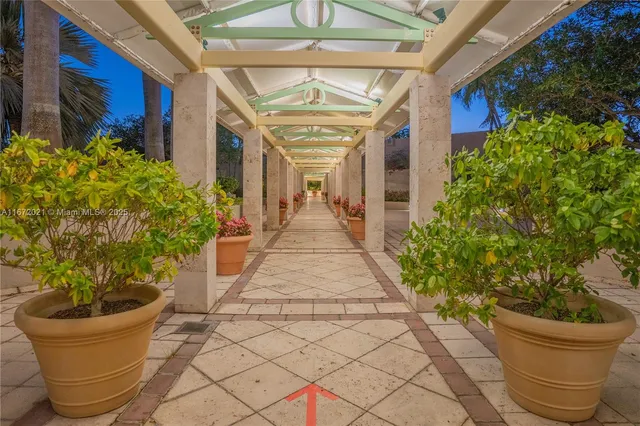 a view of a potted plants on a patio