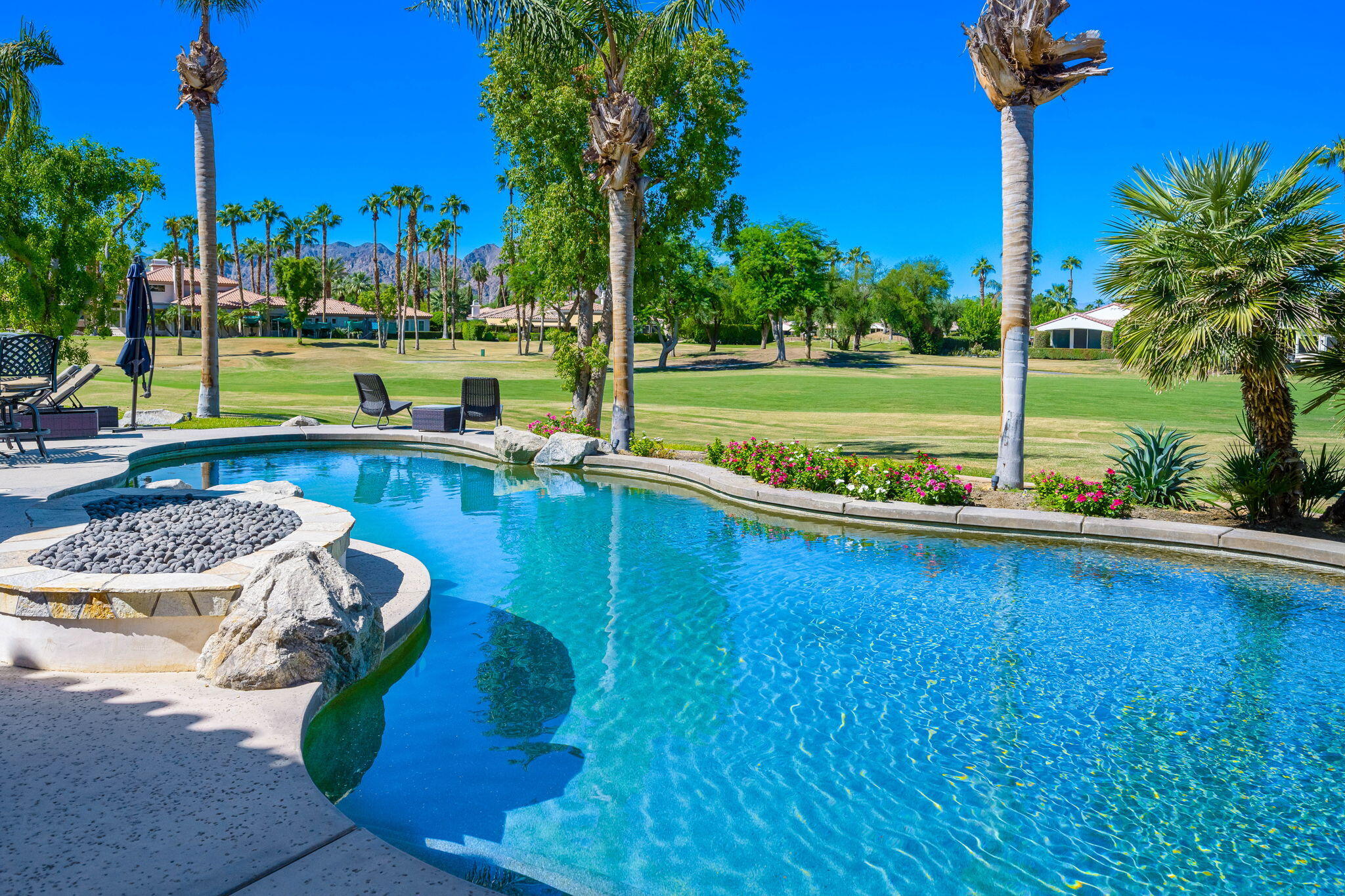79290 Cetrino La Quinta, CA 92253 - Photo 38 of 74 a view of a swimming pool with a yard and palm trees