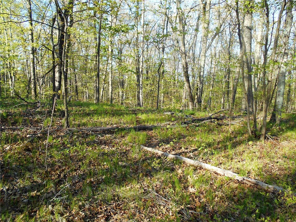 0 Old River Road Manville, RI 02838 - Photo 3 of 5 Gallery Image 3