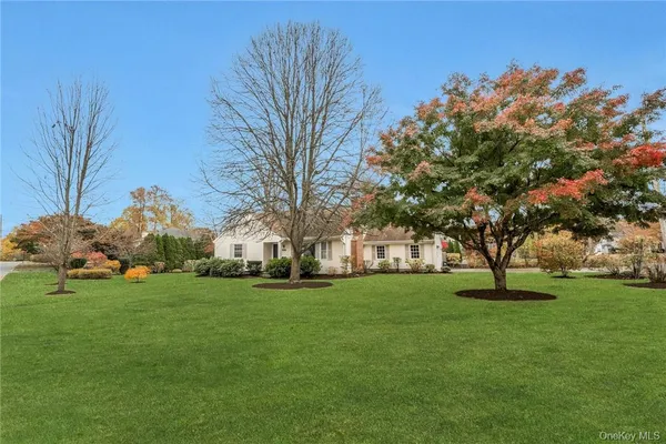 a garden with trees in front of it