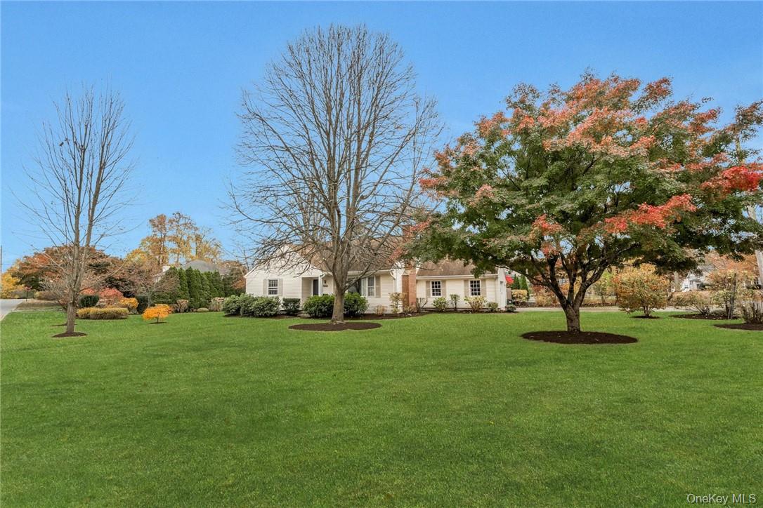 29 Old Orchard Road Rye Brook, NY 10573 - Photo 29 of 32 a garden with trees in front of it