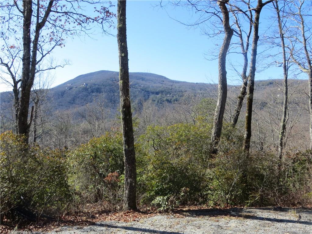 Lot 17 Panther Ridge Road, Unit PR17 Lake Toxaway, NC 28747 - Photo 11 of 35 Gallery Image 11