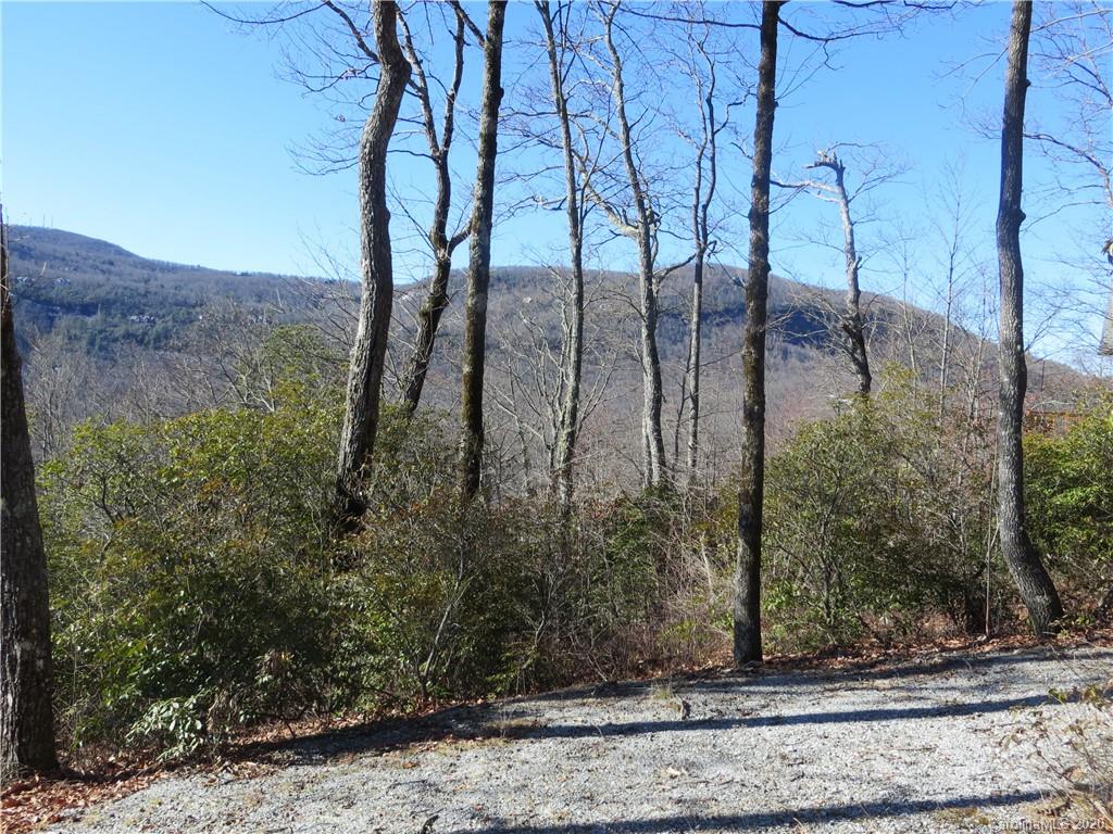 Lot 17 Panther Ridge Road, Unit PR17 Lake Toxaway, NC 28747 - Photo 12 of 35 Gallery Image 12