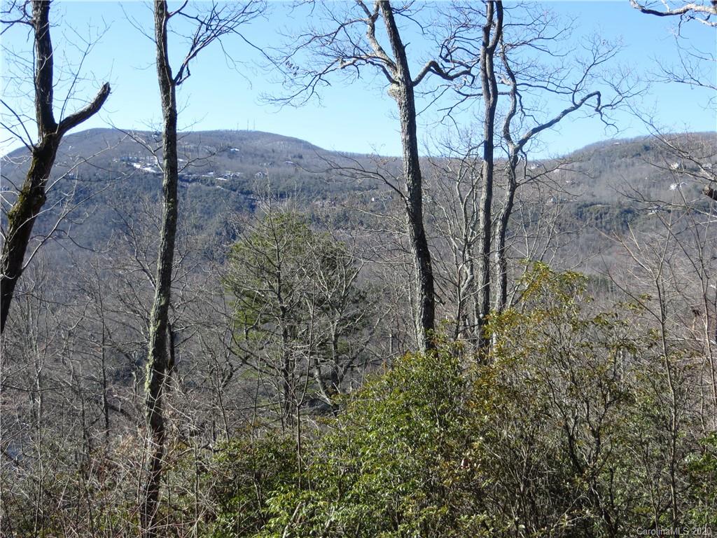 Lot 17 Panther Ridge Road, Unit PR17 Lake Toxaway, NC 28747 - Photo 13 of 35 Gallery Image 13
