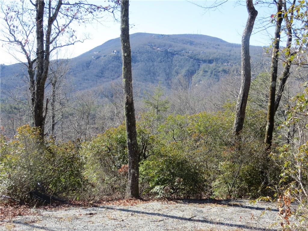 Lot 17 Panther Ridge Road, Unit PR17 Lake Toxaway, NC 28747 - Photo 14 of 35 Gallery Image 14
